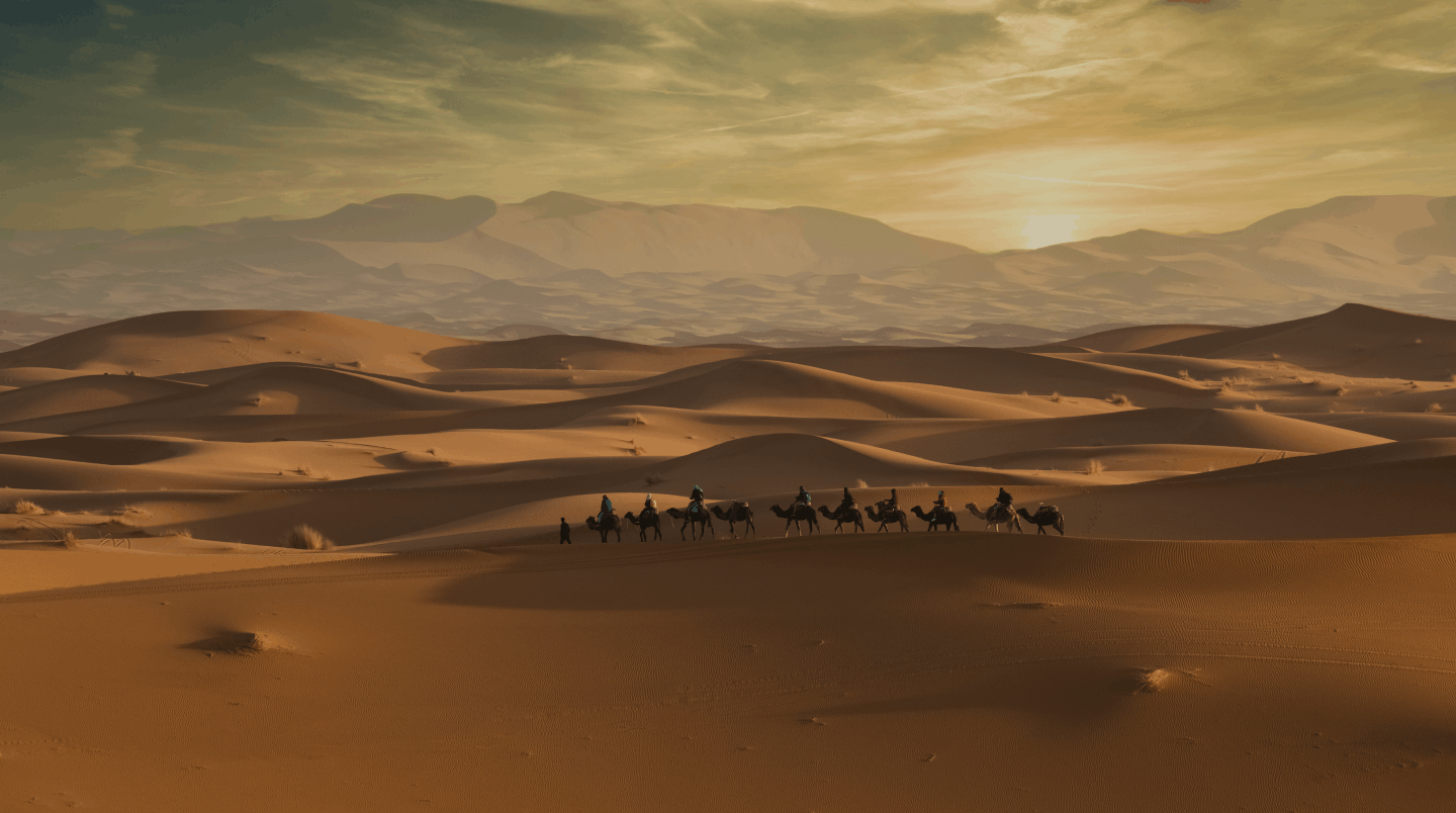Desert and marina experiences